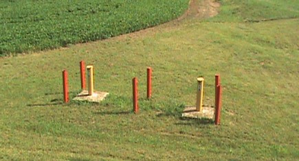 yellow_orangePosts
